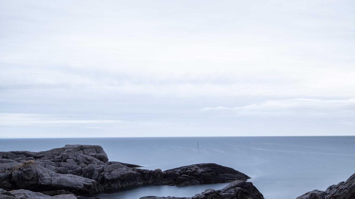 Yapay Zeka ile Kreatif Tasarım: Geleceğin Estetiği