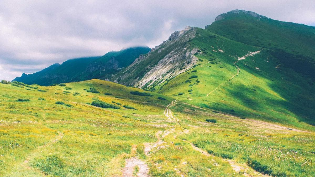 Web Tasarımında Mikro Animasyonlar: Kullanıcı Deneyimini Yükseltmek