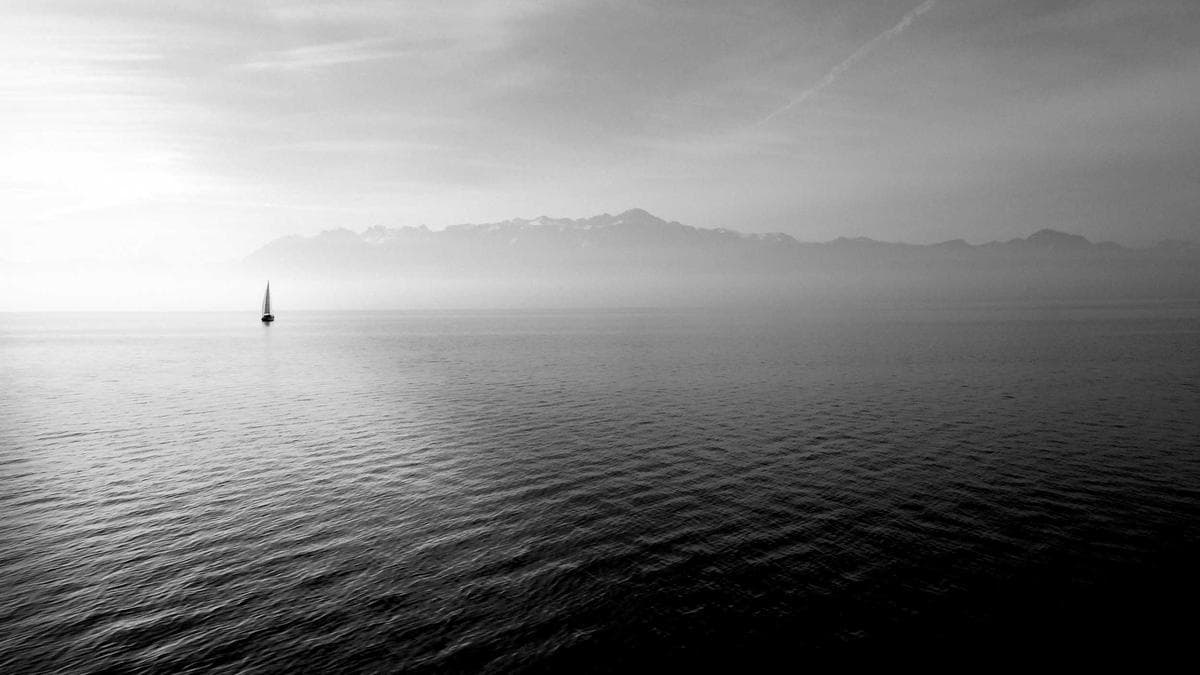 Marka Kimliğinde Renk Psikolojisi: Neden Her Ton Önemli?