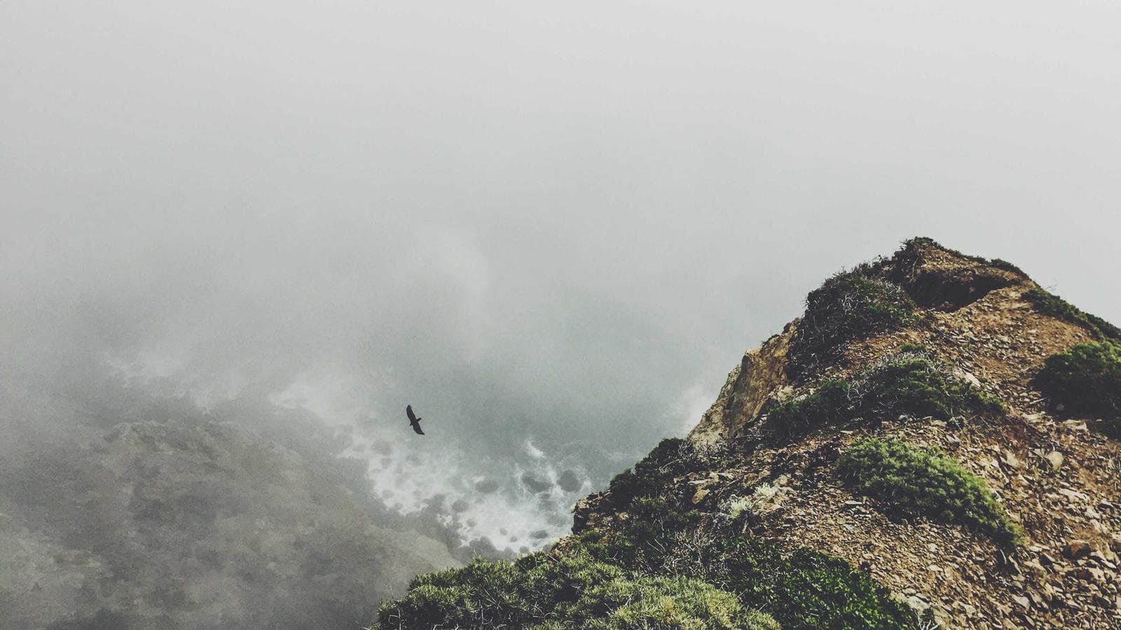 Nöron — AI Sağlık Platformu — 03