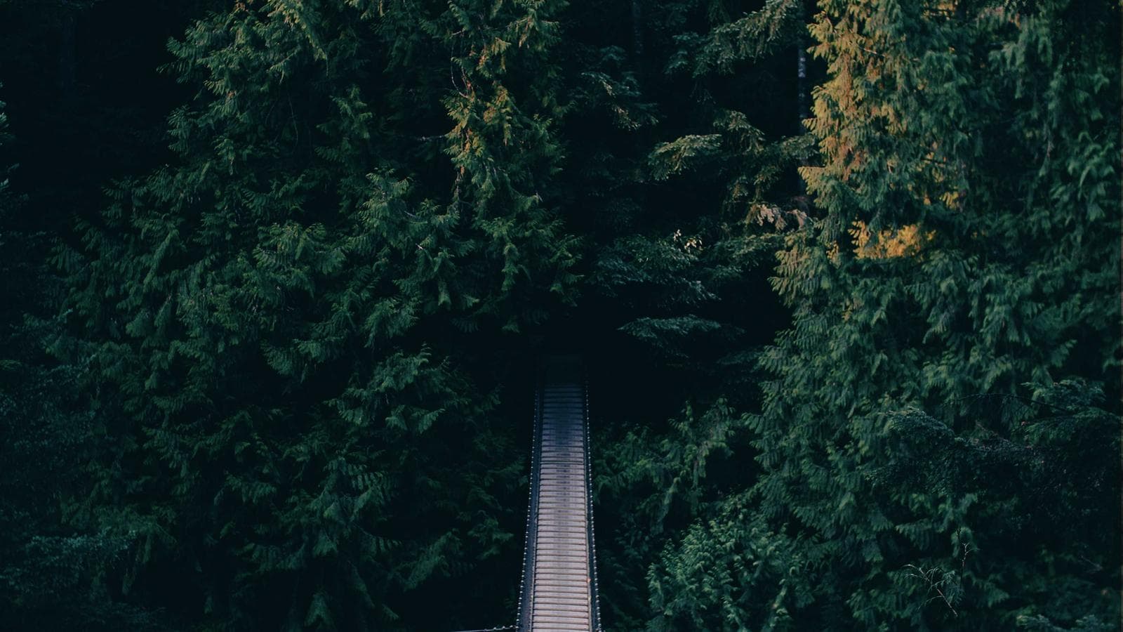 Sınır — Mimari Stüdyo — Hero